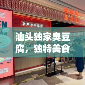 汕頭獨家臭豆腐，獨特美食之旅，讓你一吃難忘！