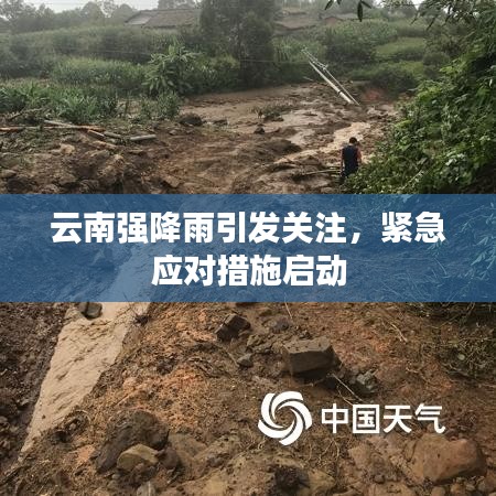 綽約多姿