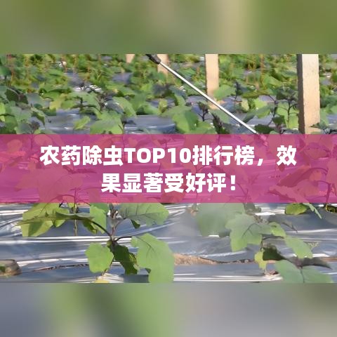 2025年5月 第33頁