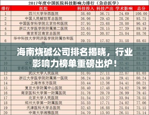 海南燒堿公司排名揭曉，行業(yè)影響力榜單重磅出爐！