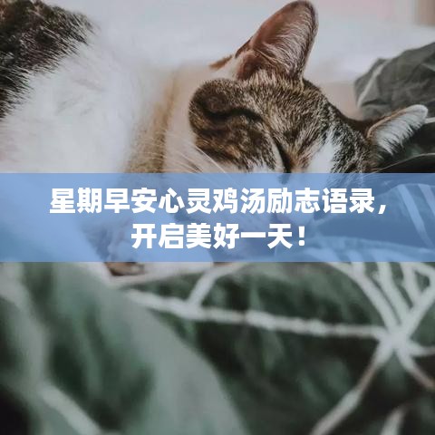 星期早安心靈雞湯勵(lì)志語(yǔ)錄，開啟美好一天！