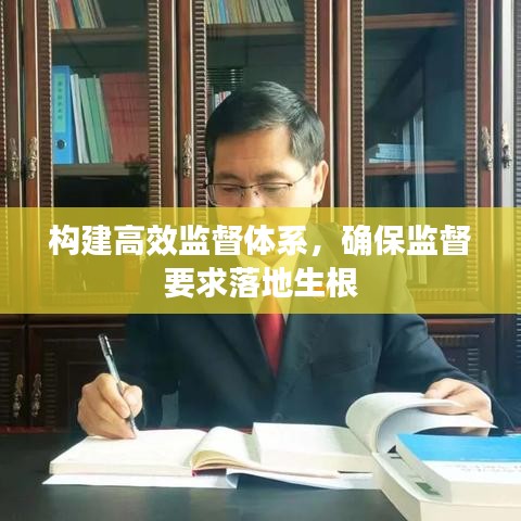 構建高效監(jiān)督體系，確保監(jiān)督要求落地生根