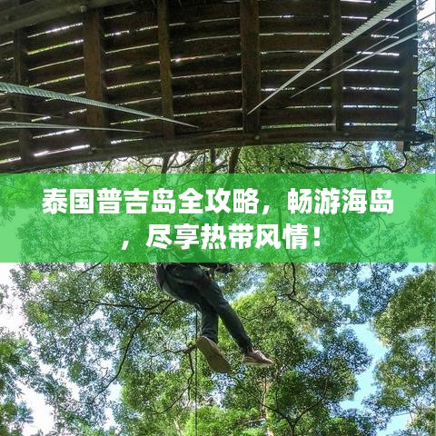 草率從事